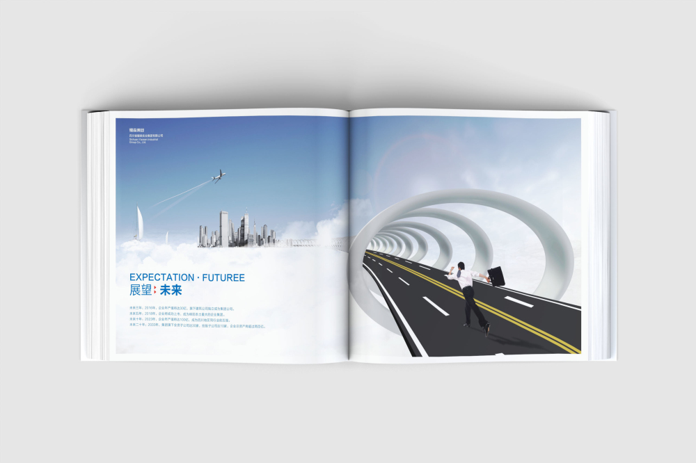 泉山区画册设计